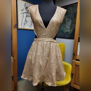Windsor Sequined Dress With Side Cutouts Size M
